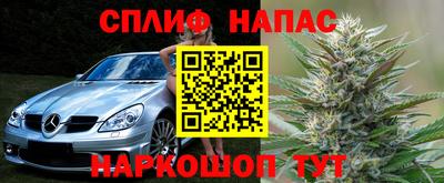 прущие крисы Мирный