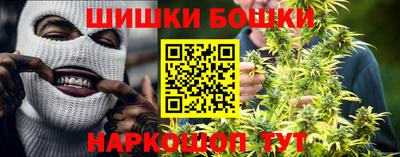 прущие крисы Мирный