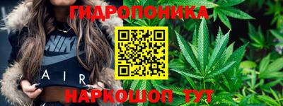 прущие крисы Мирный