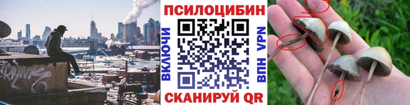 KRAKEN как войти  Апрелевка  Галлюциногенные грибы Magic Shrooms 