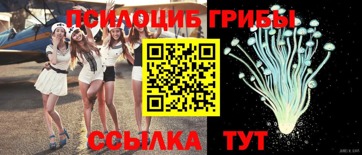 Апрелевка  Галлюциногенные грибы Magic Shrooms  Псилоцибиновые грибы мицелий  Вход с VPN 