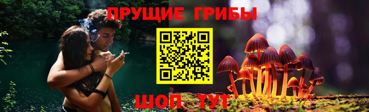 Галлюциногенные грибы Cubensis Апрелевка